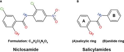 The magic bullet: Niclosamide